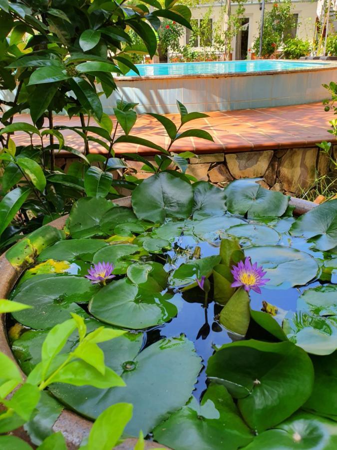 Blue Paradise Bungalow Phu Quoc Exterior photo